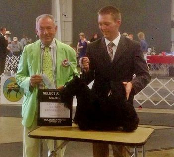 Afterglow Scotties with Michael and Jenny Lind winning a Major toward her Grand Championship
