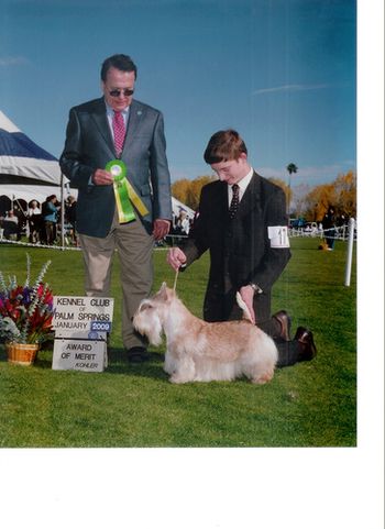 T-REX winning with his capable handler Remmington part of the Inmanfamily who have AFTERGLOW SCOTTISH TERRIERS.
