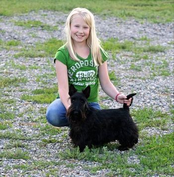 Grandaughter practicing for showmanship class at the dog show
