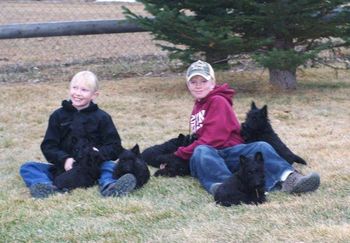 Grandchildren at play with the Scottie Pups
