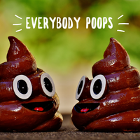 Everybody Poops by Forty 3 Music