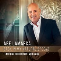 Back In My Natural Groove by Abe LaMarca