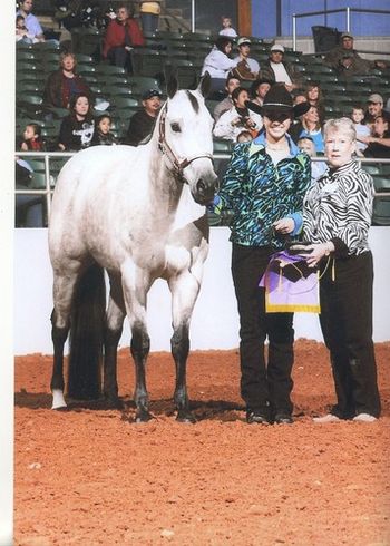 Royal Bell County Fair 2010 Grand Champion Mare
