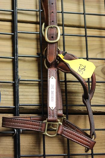 Genuine Doc's Leather Halter. Went there to buy it but got away from us. Sold for $1700
