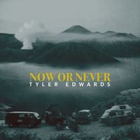 Now or Never by Tyler Edwards