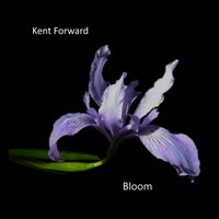 Bloom by Kent Forward