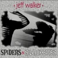 Spiders and Silhouettes
