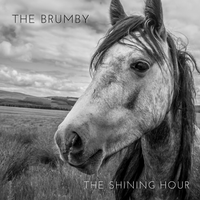 The Brumby by The Shining Hour