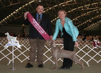 Winning Baby In Show Wei Club of VIC 2006
