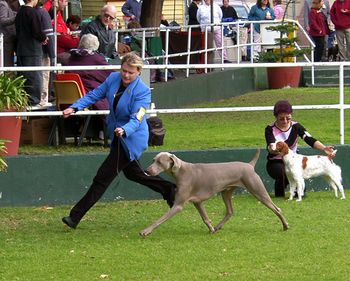 On the move winning BEST IN GROUP 2006
