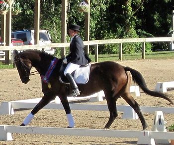 Victory Gallop: Amy and Traumee, 2nd Level Amateur Champions, Waterloo Dressage Shows 10
