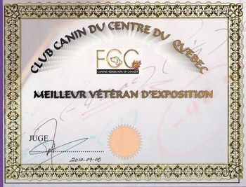 Certificat du Meilleur Vétéran
