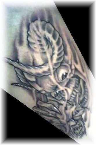 This one is on my left forearm. I liked the artwork so I got it inked.
