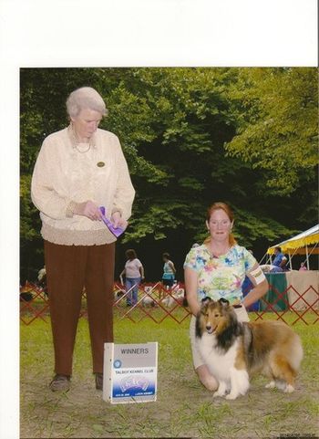 My first Owner Handled Breed Points: Two Point Win under Judge Annie Clark
