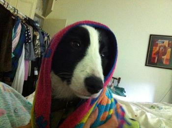 Looking gangster after a bath
