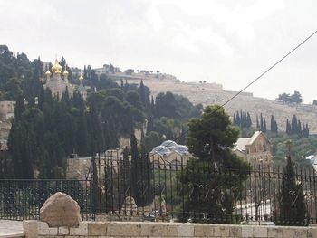 Standing in the Kidron Valley.
