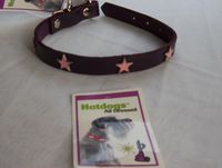 Collar 18"L 1"W (Dark purple leather with pink metal stars)