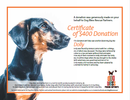 $400 Donation Certificate