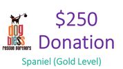 Spaniel Sponsorship (Gold Level)