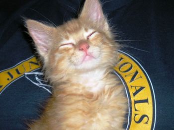Dr. Pepper now has his placed in this world . He has a home of his own to grow up in and be forever loved !!