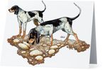 Coonhound Note Cards
