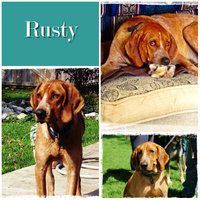 Rusty
