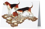 Coonhound Note Cards