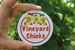 Vineyard Chicks Donation Stickers