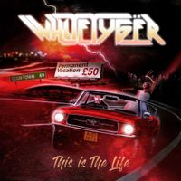 This Is The Life: WhiteTyger - This Is The Life Album