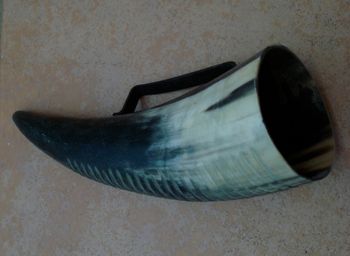 Guiro made from a horn
