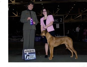 Madi & Heather at the Cleveland dog show with their first win!
