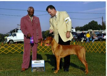Oliver with handler Mike Szabo took his first point under Judge Eugene Blake at the Erie Kennel Club show Sunday September 21.
