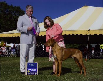 Oliver and Heather took Winners Dog at the Olean Show 6/14/09
