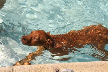 Kaden has become quite a swimmer!
