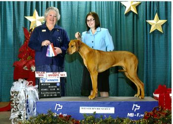 Madi at 11 months old here with Heather at the Cleveland Classic show in December. Madi and Heather took their first major win this first weekend showing together.
