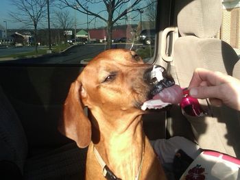 Kya with her first ice cream cone!
