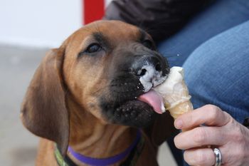 Keb has his first taste of ice cream!
