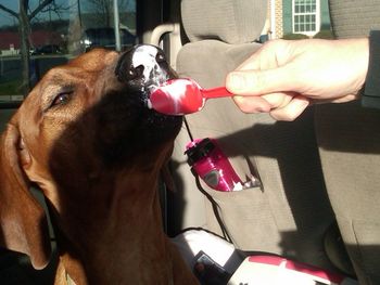 Kya gets her first ice cream!
