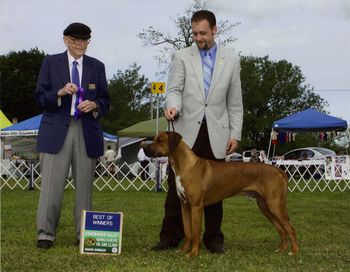 Kal & Tim took Winners Dog their second day showing together!
