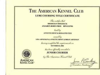 This is Elsa's JC Coursing Certificate October 2006
