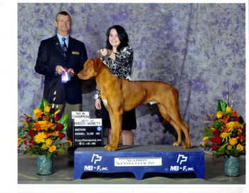 Oliver & Heather taking his finishing point and Best of Breed!
