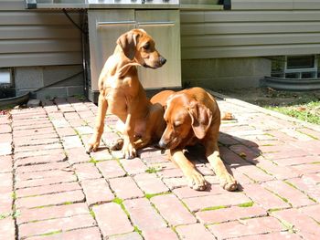 Logan & Niki enjoying the sunshine
