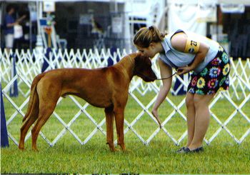 Heather with Oliver in Canfield, they are quite the pair! Oliver took two majors at this show.
