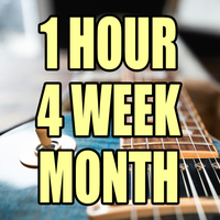 1 Hour Lessons (4 WEEK MONTH)