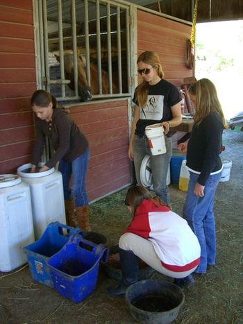 Kira F, Danielle, and Courtney help Vanessa feed some horses.
