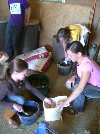 Adding supplements to the bran mash.
