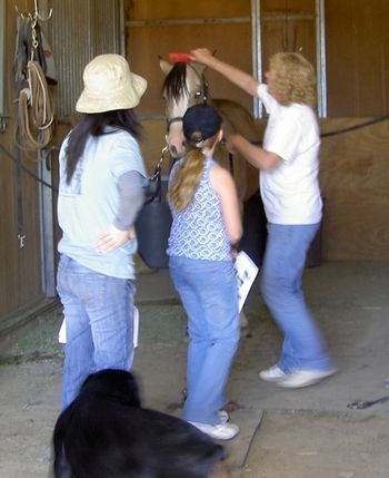Tina giving Cynthia and Maggie some grooming tips.
