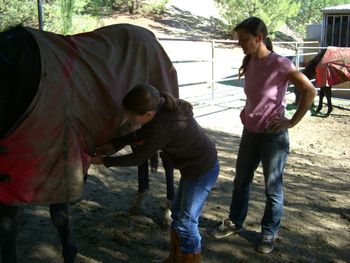 Courtney learns about blanketing and helps remove Warren's blanket.

