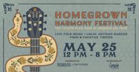 Kasey Rausch solo at Homegrown Harmony Festival