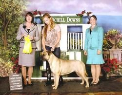 3rd place in the open bitch class at the 2011 Bullmastiff National Specialty in Kentucky.
